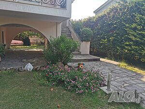 image_16