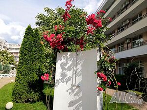 image_14