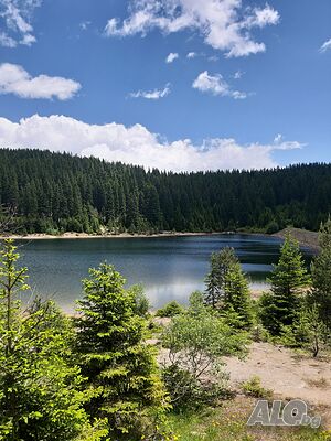 image_7