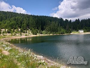 image_8