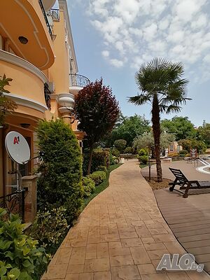 image_5