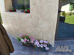 image_21
