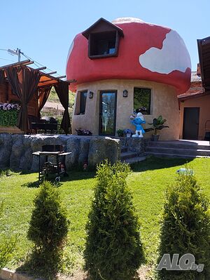 image_23