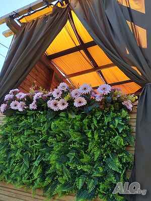 image_24
