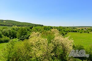 image_10