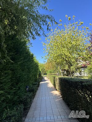 image_30
