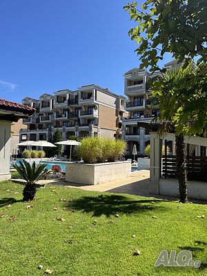 image_31