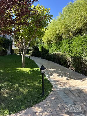 image_33