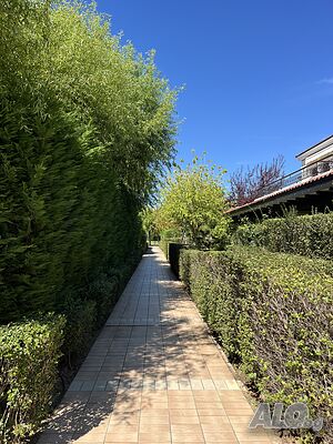 image_35