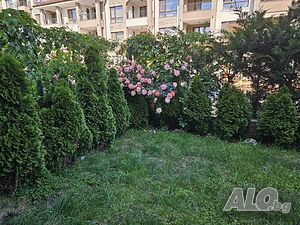 image_13