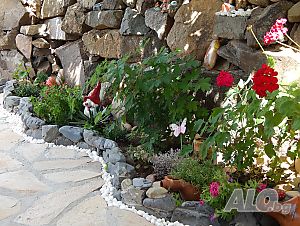 image_24