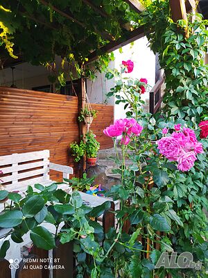 image_18