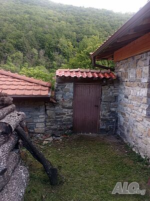 image_47