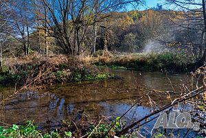 image_24