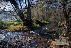 image_25