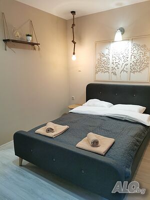 image_41