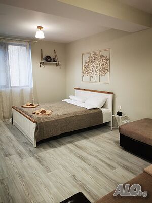 image_42