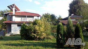 image_9