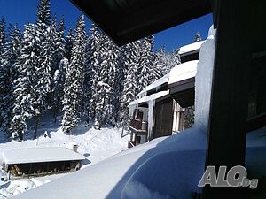 image_2