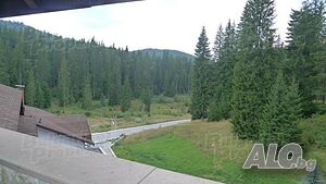 image_9