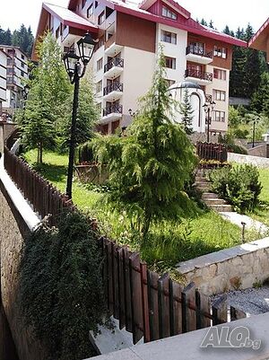 image_7