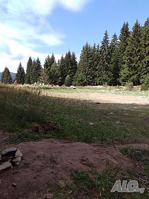 image_21