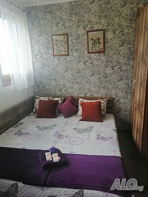 image_11