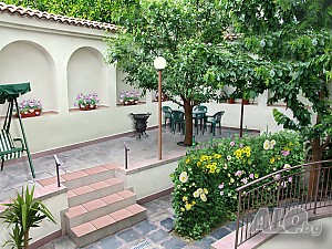 image_24
