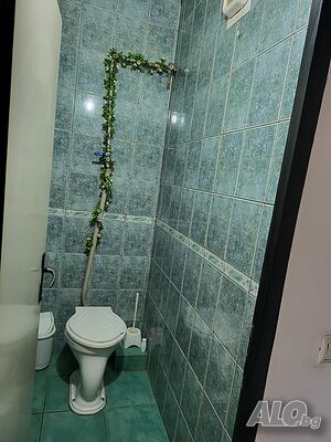 image_11