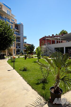 image_29