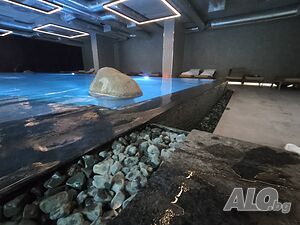 image_51
