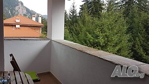 image_15