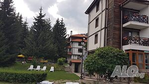 image_19