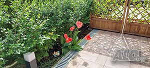 image_23