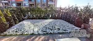 image_27