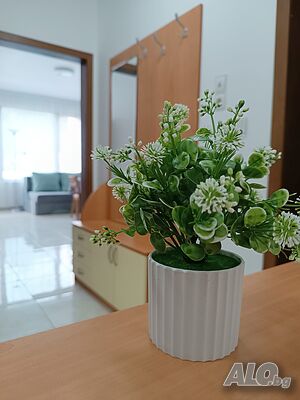 image_15