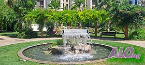image_34