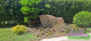 image_38