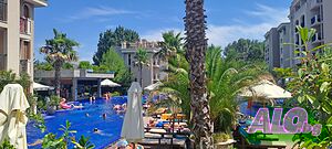 image_53