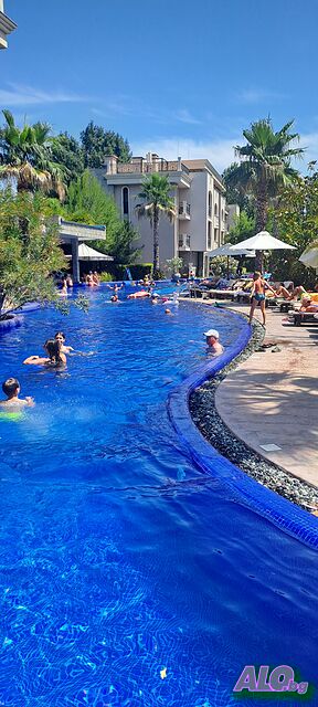image_44