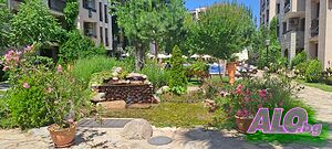 image_20