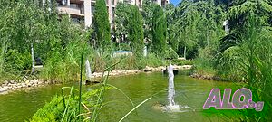 image_21