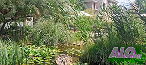 image_22