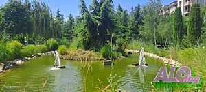 image_34
