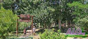 image_22
