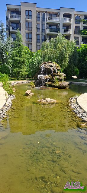 image_41