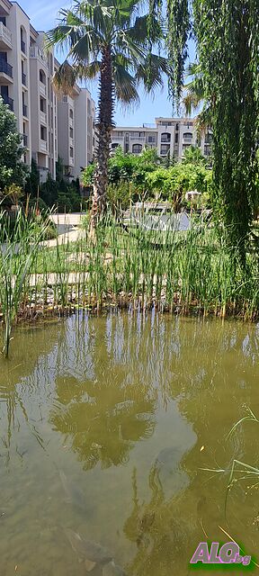 image_43