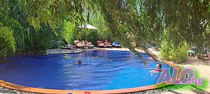 image_46
