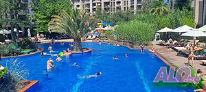 image_54