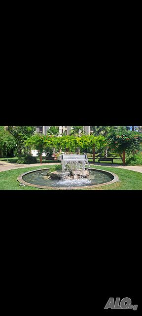 image_11